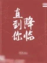 《直到你降临》小说封面