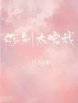 《你别太宠我》小说封面