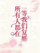 《所有人都在等我们复婚》小说封面