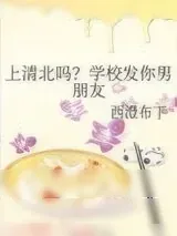 《上清北吗？学校发你男朋友》小说封面