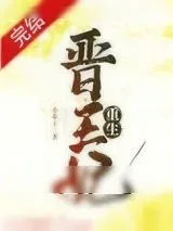 《晋王妃（重生）》小说封面