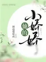 《他的小娇娇》小说封面