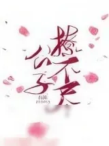 《公子撩不尽》小说封面