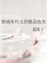 《穿成年代文的极品炮灰》小说封面