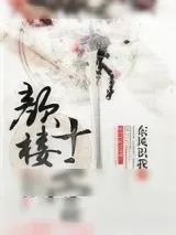 《颜楼十二宫》小说封面