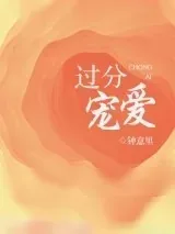 《过分宠爱》小说封面