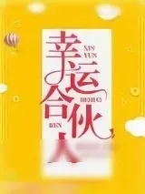《幸运合伙人》小说封面