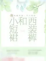 《小短裙和西装裤》小说封面