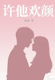 《许他欢颜》小说封面