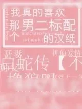 《我真的喜欢那个男二标配的汉纸》小说封面