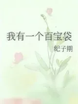 《我有一个百宝袋》小说封面