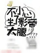 《不小心坐了影帝大腿》小说封面
