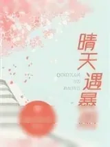 《晴天遇暴雨》小说封面