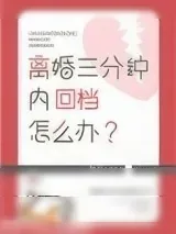 《离婚三分钟内回档怎么办》小说封面