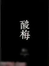 《酸梅》小说封面