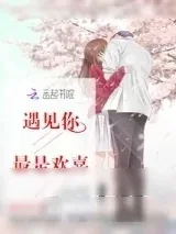 《遇见你最是欢喜》小说封面