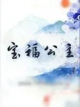 《宝福公主》小说封面