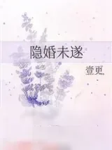 《隐婚未遂》小说封面