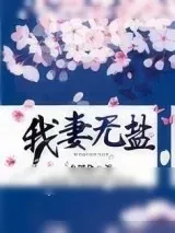 《我妻无盐》小说封面