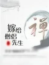 《嫁给僧侣先生》小说封面