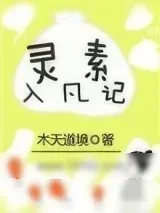 《灵素入凡记》小说封面