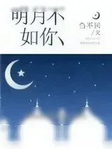 《明月不如你》小说封面