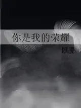 《你是我的荣耀》小说封面