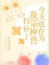 《今天也在为我宗神兽打补丁》小说封面
