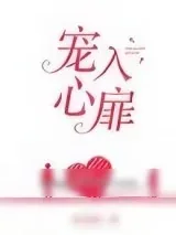 《宠入心扉》小说封面