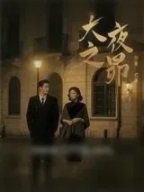 《大夜之昴》小说封面