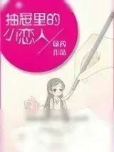 《抽屉里的小恋人》小说封面