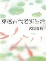 《穿越古代老实生活》小说封面