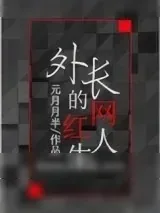 《外长的网红人生》小说封面