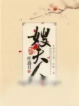 《嫂夫人》小说封面