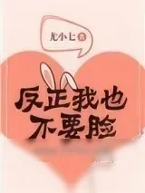 《反正我也不要脸》小说封面