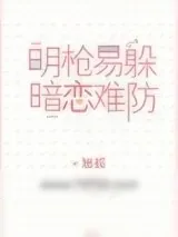 《明枪易躲，暗恋难防》小说封面