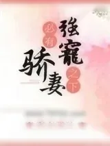 《强宠之下，必有娇妻》小说封面