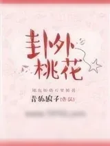 《卦外桃花》小说封面