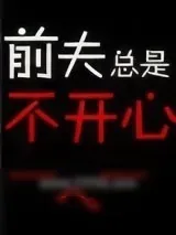《前夫总是不开心》小说封面