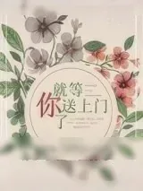 《就等你送上门了》小说封面
