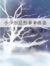 《小少爷总想爹爹休妻》小说封面