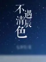 《不遇清辰色》小说封面