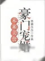 《华诺传奇》小说封面