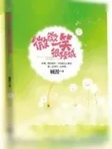 《微微一笑很倾城（出书版）》小说封面