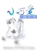 《小可爱》小说封面