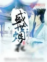 《盛世烟花》小说封面