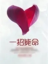 《一招毙命》小说封面