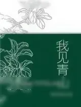 《我见青山》小说封面