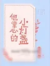 《他掌心的小灯盏》小说封面