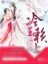 《冷王赖上俏王妃》小说封面